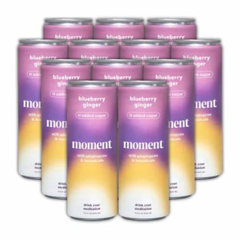 Moment - Blueberry Ginger